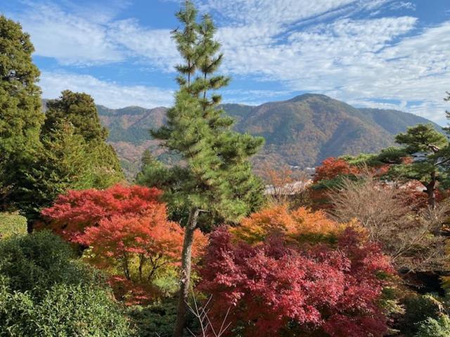 Hotel Marroad Hakone Luaran gambar